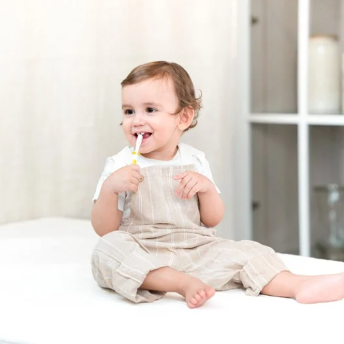 Pigeon Baby Training Toothbrush Lesson 3