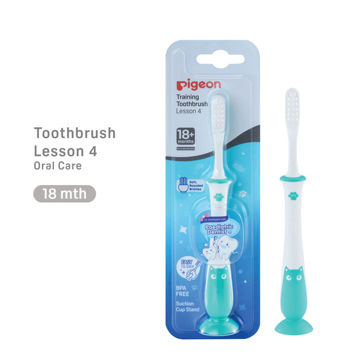 Pigeon Training Tooth Brush Lesson 4