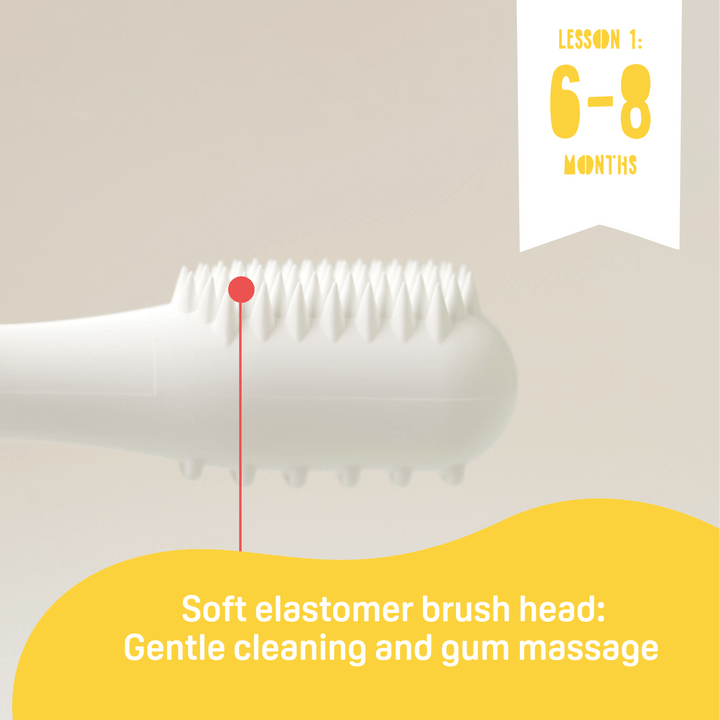 Training Toothbrush Lesson 123 Set