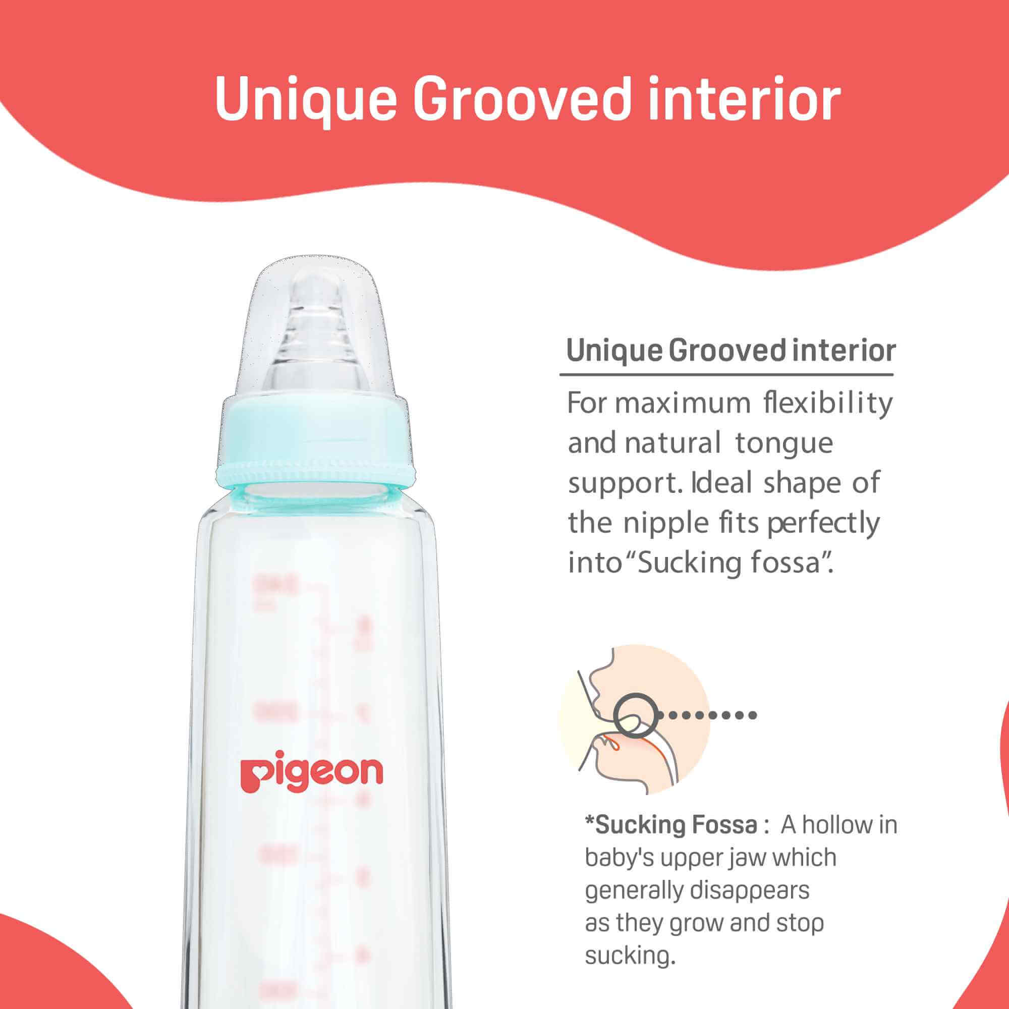 Pigeon Glass Feeding Bottle 120ml with Add Nipple S