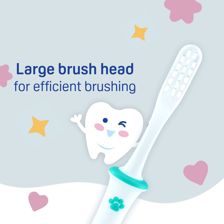 Pigeon Training Tooth Brush Lesson 4