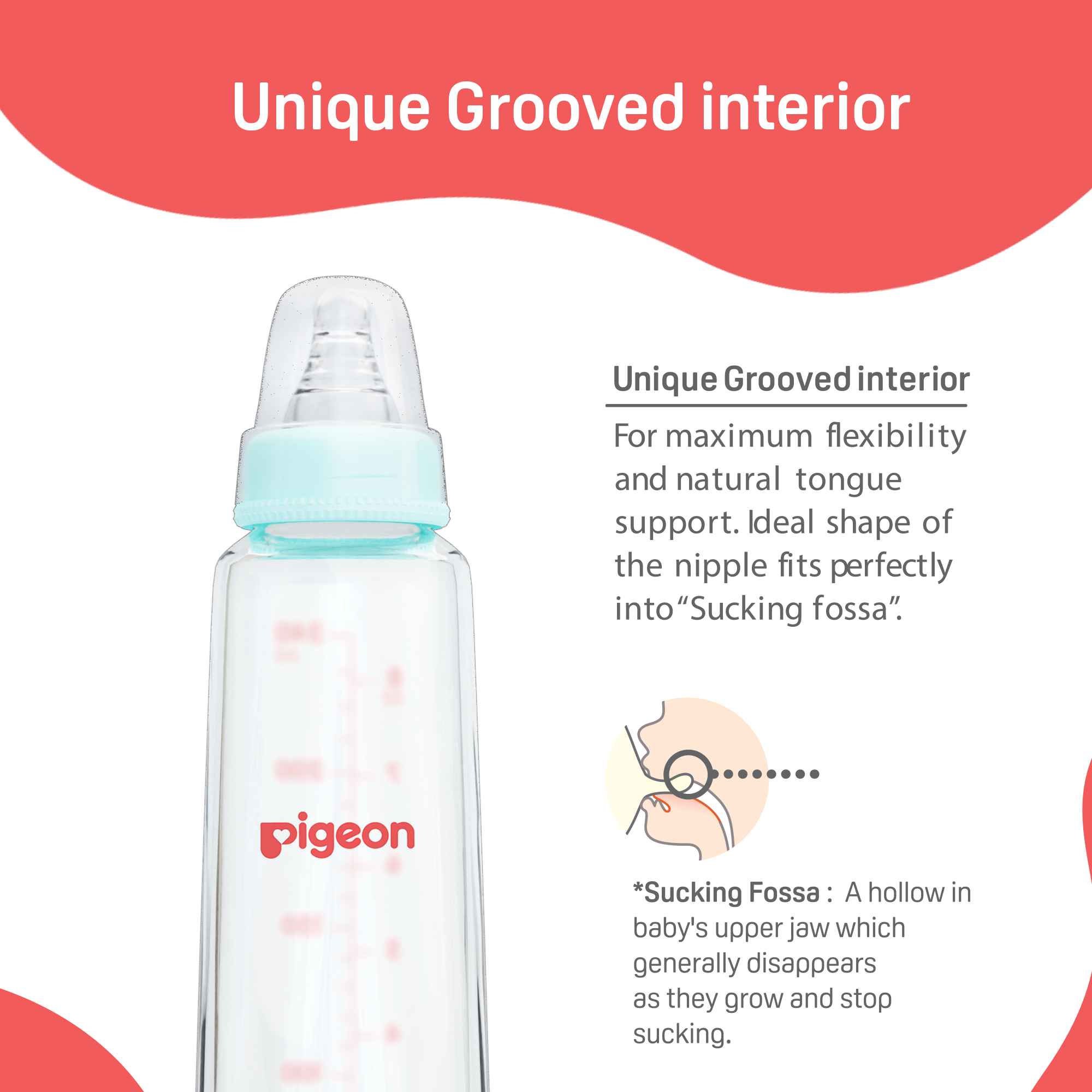 Glass Feeding Bottle 200ml with Add Nipple M